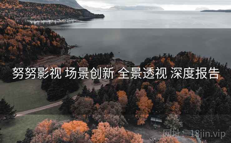 努努影视 场景创新 全景透视 深度报告
