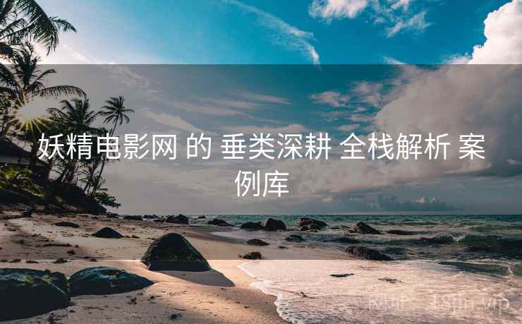 妖精电影网 的 垂类深耕 全栈解析 案例库