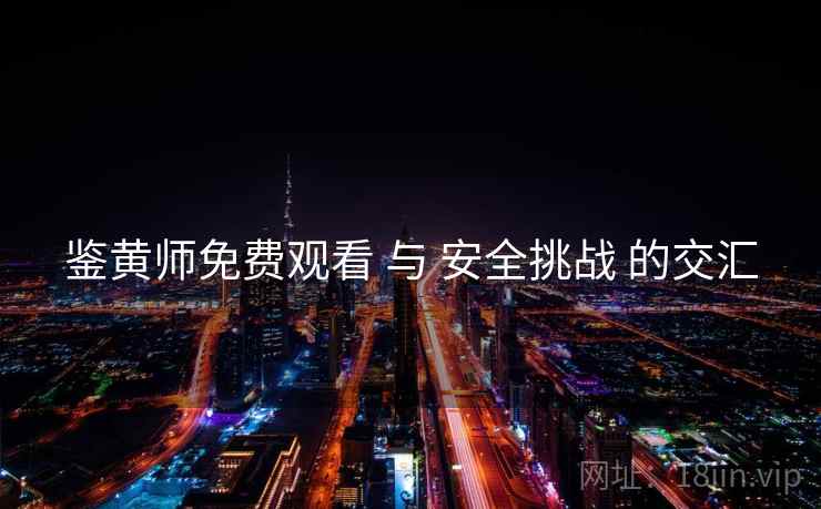 鉴黄师免费观看 与 安全挑战 的交汇
