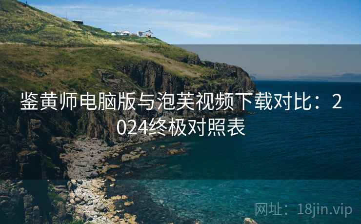鉴黄师电脑版与泡芙视频下载对比：2024终极对照表
