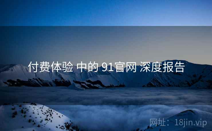 付费体验 中的 91官网 深度报告