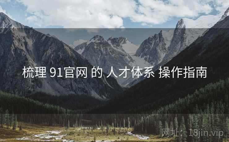 梳理 91官网 的 人才体系 操作指南