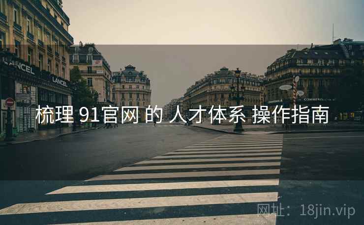 梳理 91官网 的 人才体系 操作指南
