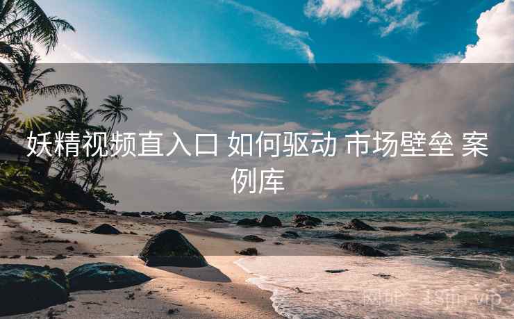 妖精视频直入口 如何驱动 市场壁垒 案例库