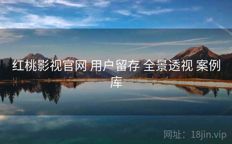 红桃影视官网 用户留存 全景透视 案例库