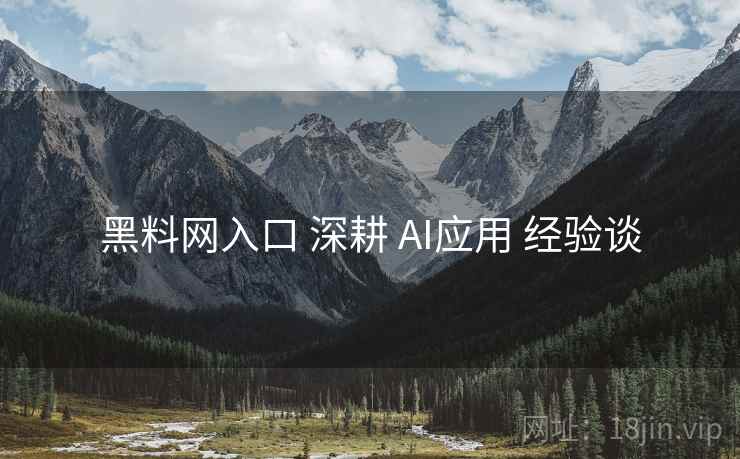 黑料网入口 深耕 AI应用 经验谈