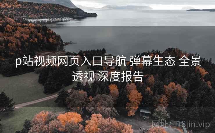 p站视频网页入口导航 弹幕生态 全景透视 深度报告