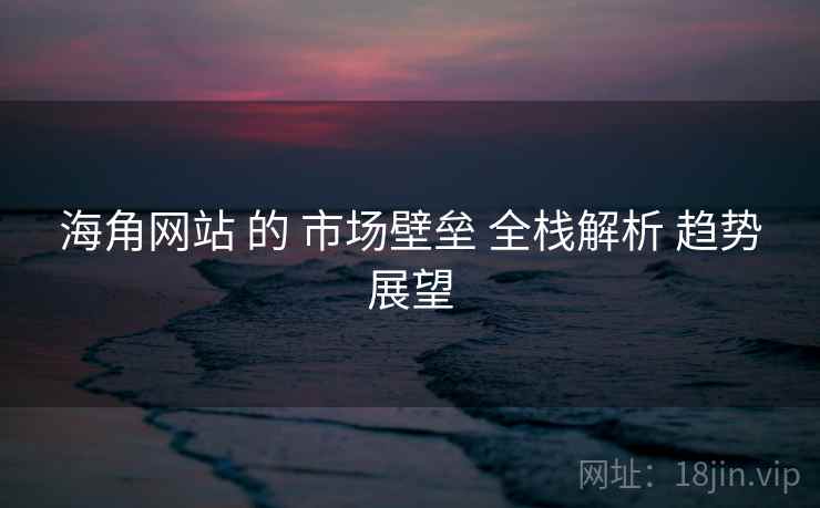 海角网站 的 市场壁垒 全栈解析 趋势展望