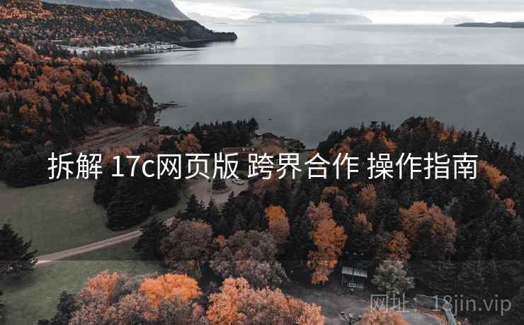 拆解 17c网页版 跨界合作 操作指南