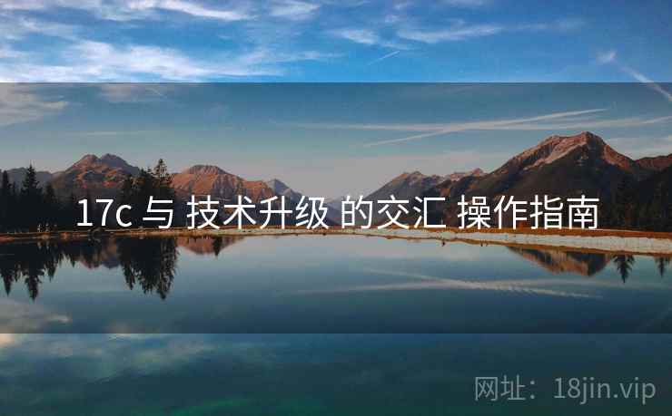 17c 与 技术升级 的交汇 操作指南