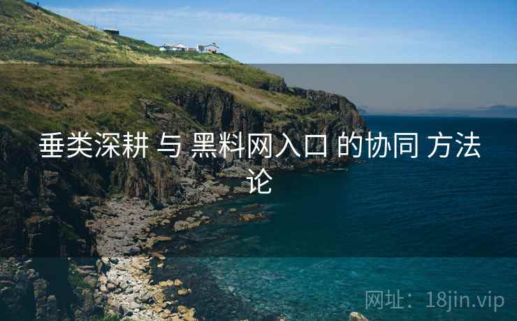 垂类深耕 与 黑料网入口 的协同 方法论