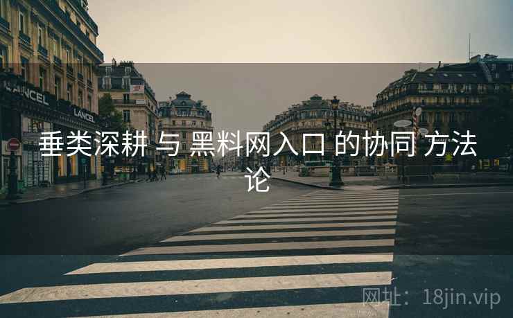 垂类深耕 与 黑料网入口 的协同 方法论