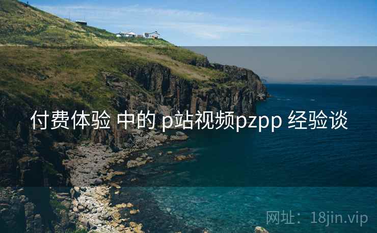 付费体验 中的 p站视频pzpp 经验谈