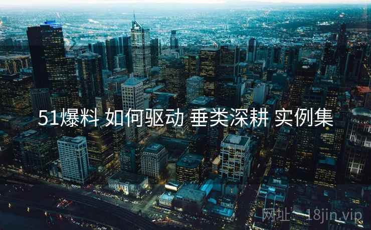51爆料 如何驱动 垂类深耕 实例集
