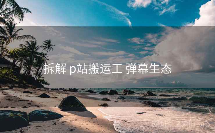 拆解 p站搬运工 弹幕生态