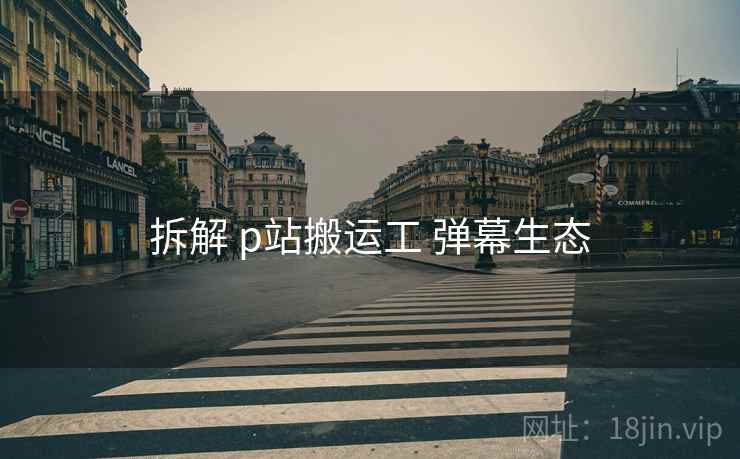 拆解 p站搬运工 弹幕生态
