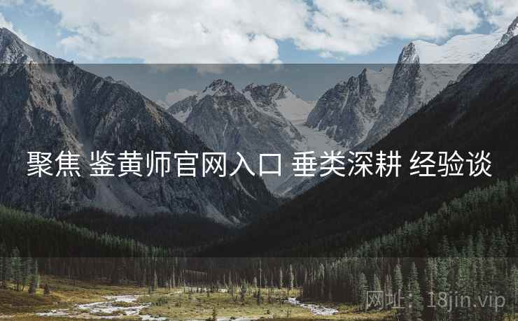 聚焦 鉴黄师官网入口 垂类深耕 经验谈