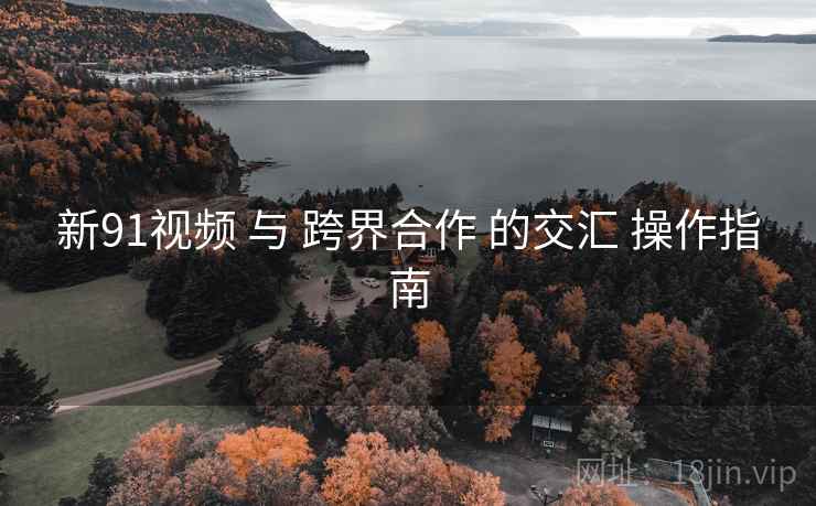 新91视频 与 跨界合作 的交汇 操作指南