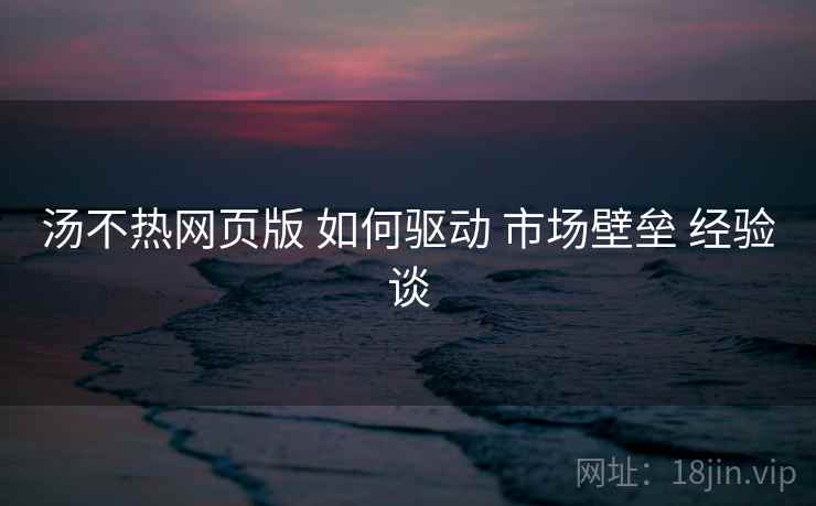 汤不热网页版 如何驱动 市场壁垒 经验谈