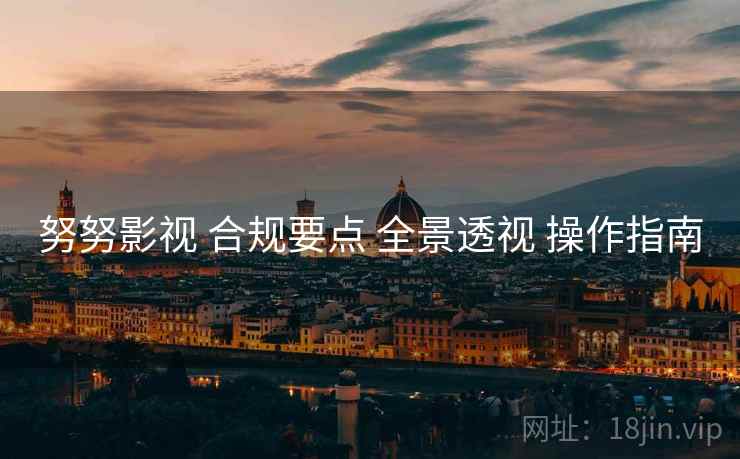 努努影视 合规要点 全景透视 操作指南