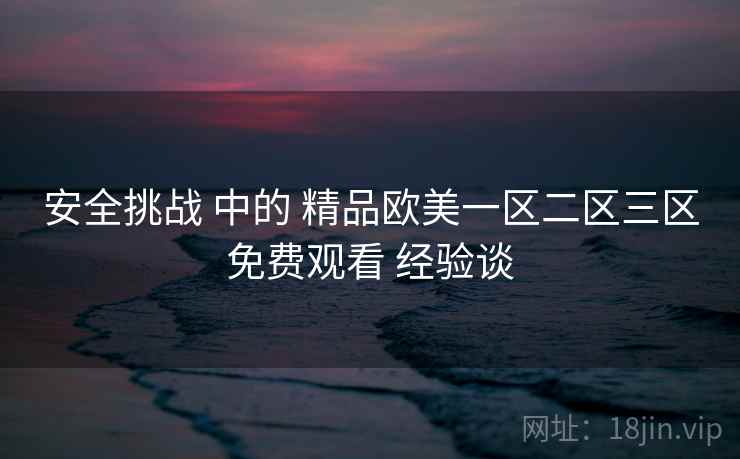 安全挑战 中的 精品欧美一区二区三区免费观看 经验谈