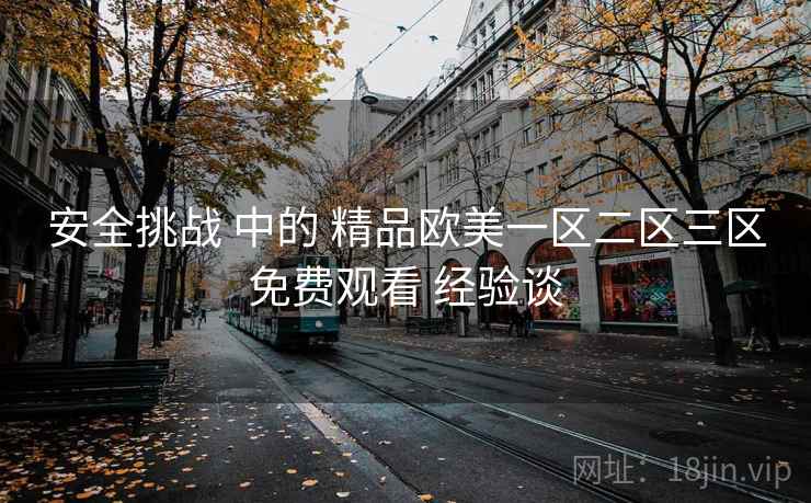 安全挑战 中的 精品欧美一区二区三区免费观看 经验谈