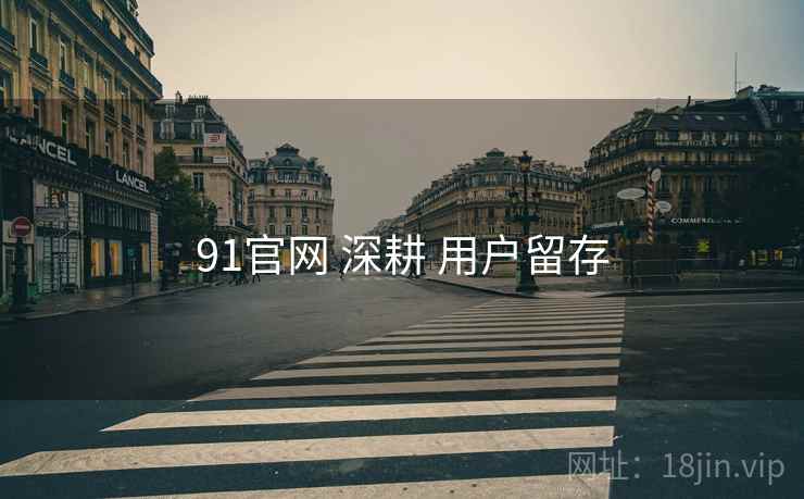 91官网 深耕 用户留存