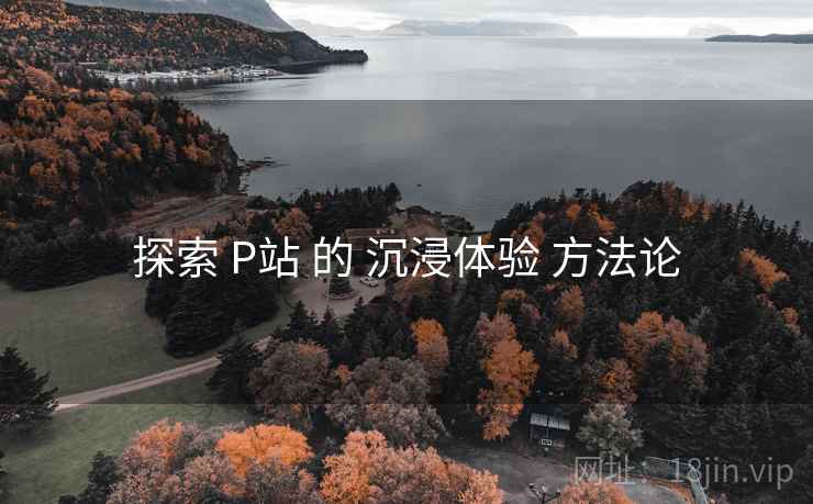 探索 P站 的 沉浸体验 方法论